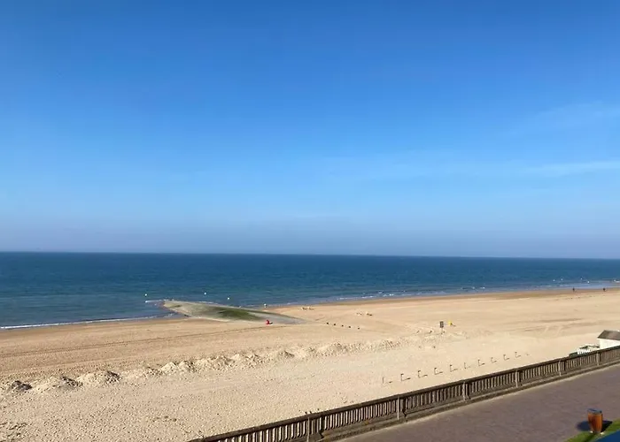 Apartman Joli En Front De - Cabourg